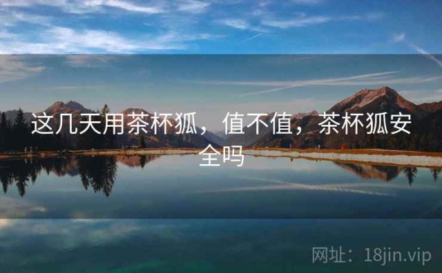 这几天用茶杯狐，值不值，茶杯狐安全吗