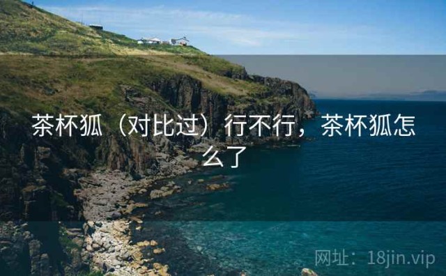 茶杯狐（对比过）行不行，茶杯狐怎么了