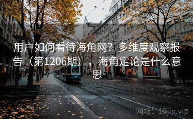 用户如何看待海角网？多维度观察报告（第1206期），海角定论是什么意思
