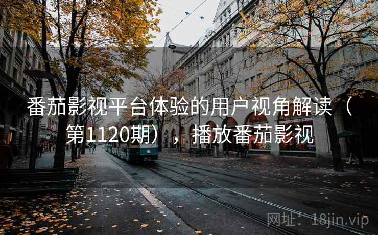 番茄影视平台体验的用户视角解读（第1120期），播放番茄影视
