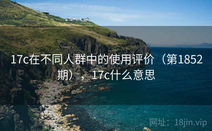 17c在不同人群中的使用评价（第1852期），17c什么意思