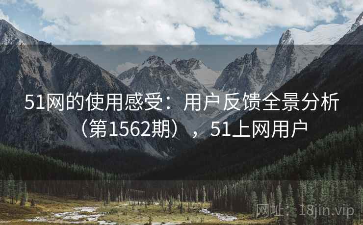 51网的使用感受：用户反馈全景分析（第1562期），51上网用户