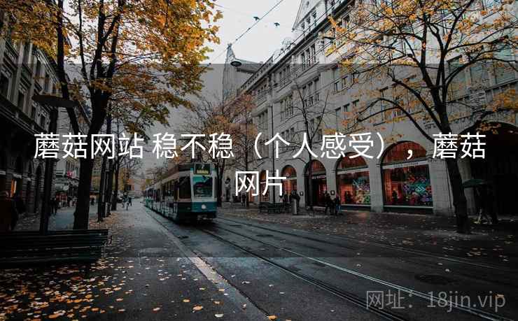 蘑菇网站 稳不稳(个人感受),蘑菇网片 蘑菇网站 稳不稳(个人感受),蘑菇网片