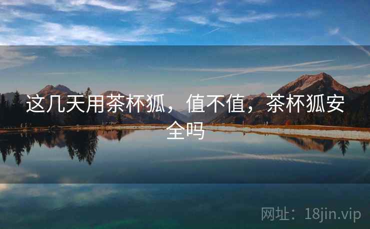 这几天用茶杯狐，值不值，茶杯狐安全吗